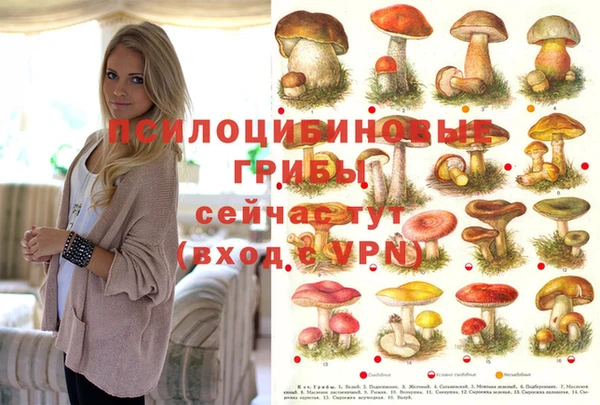 марки lsd Алзамай