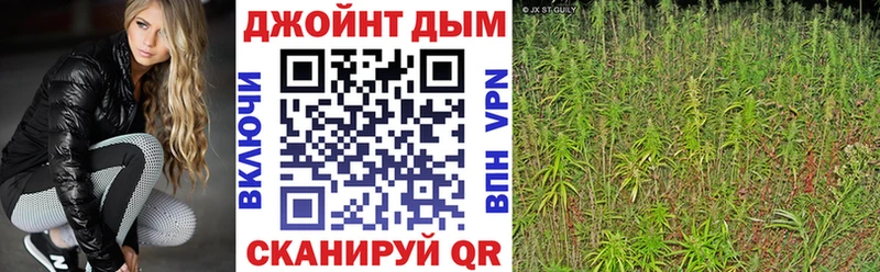 МАРИХУАНА план Белокуриха